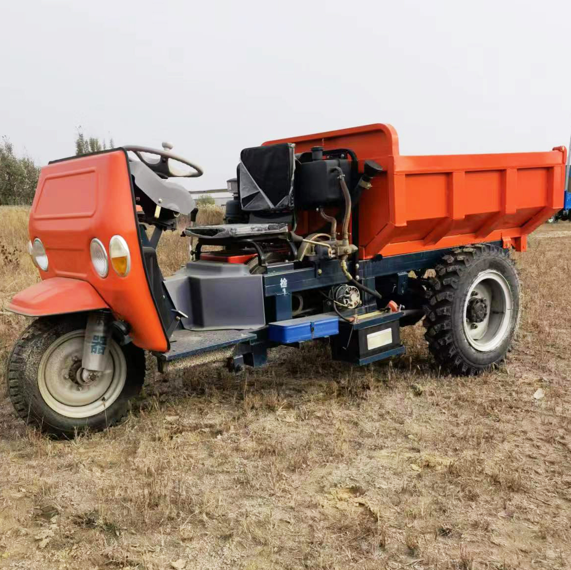 1-3 Tons Diesel Engine 3 Wheel Dump Cargo Trucks for Sale